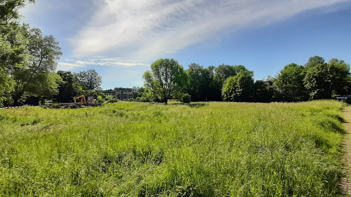 Wiese, Acker und ein Wäldchen innerhalb eines Wohnquartiers.